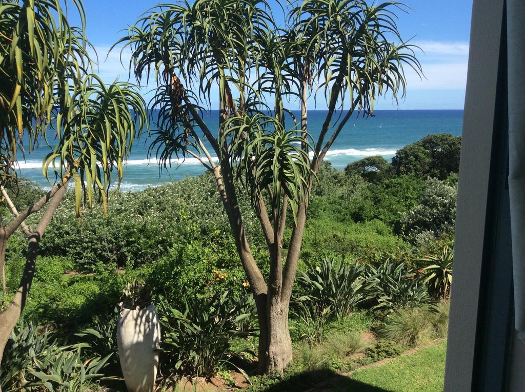 Misty Blue Bed And Breakfast Durban Chambre photo