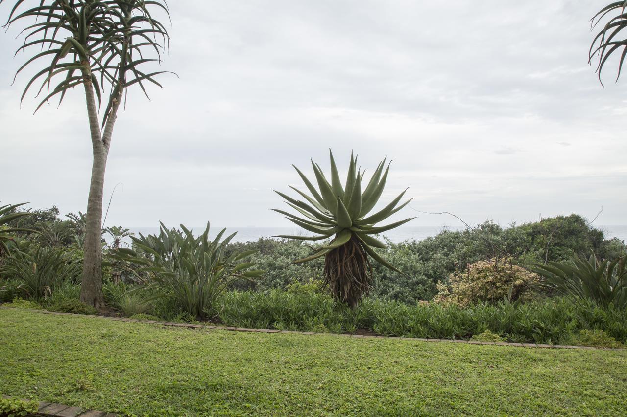 Misty Blue Bed And Breakfast Durban Extérieur photo
