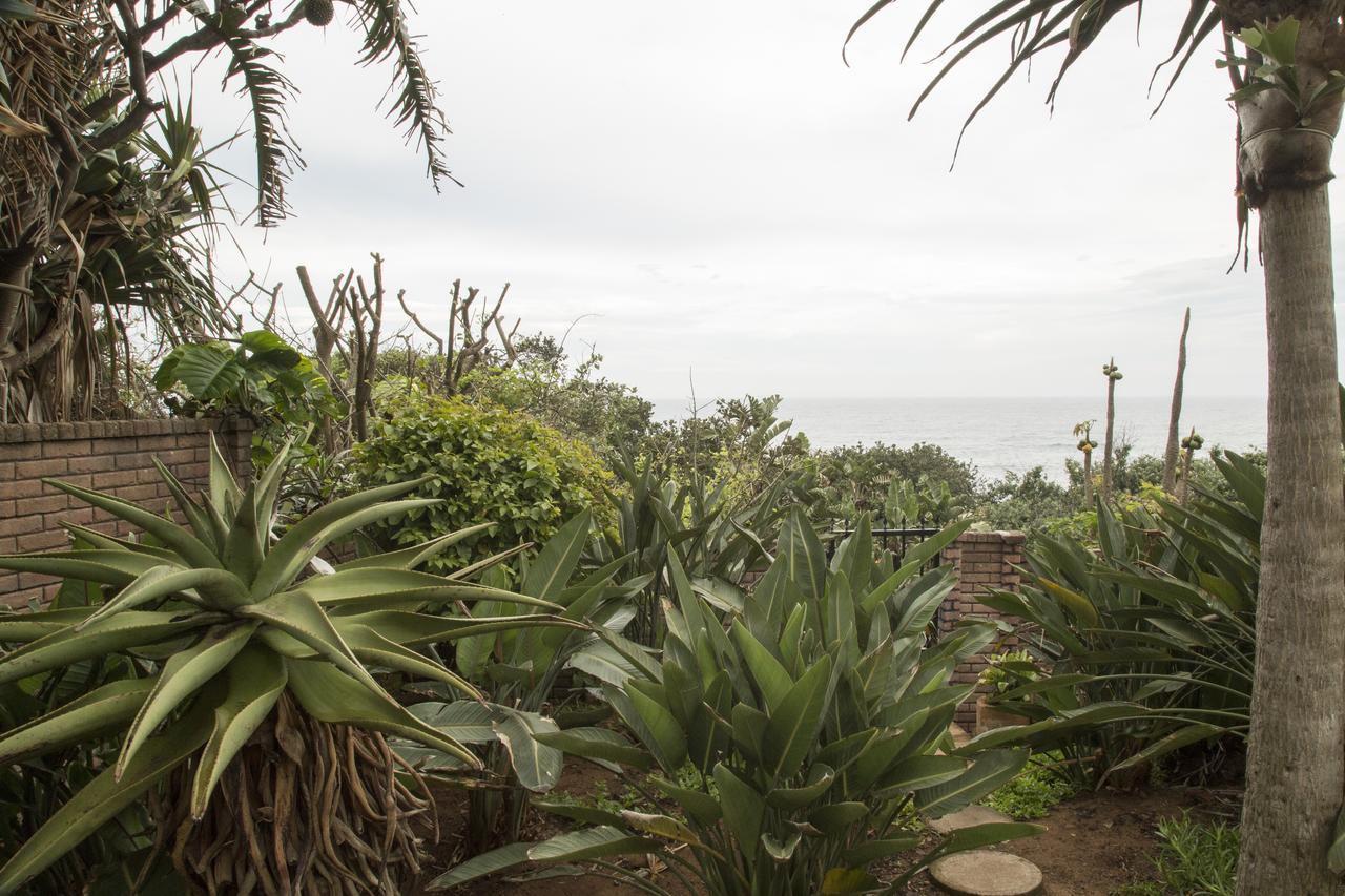 Misty Blue Bed And Breakfast Durban Extérieur photo