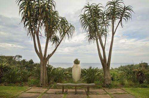 Misty Blue Bed And Breakfast Durban Extérieur photo